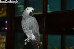 IMG_1632 (نسخ)