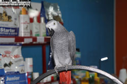 IMG_1662 (نسخ)