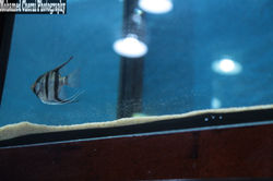 IMG_1715 (نسخ)