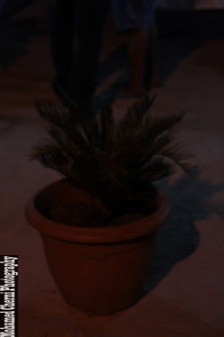 IMG_1658 (نسخ)