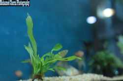 IMG_1713 (نسخ)