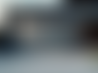 Garage Door Services Overview: What You Need to Know