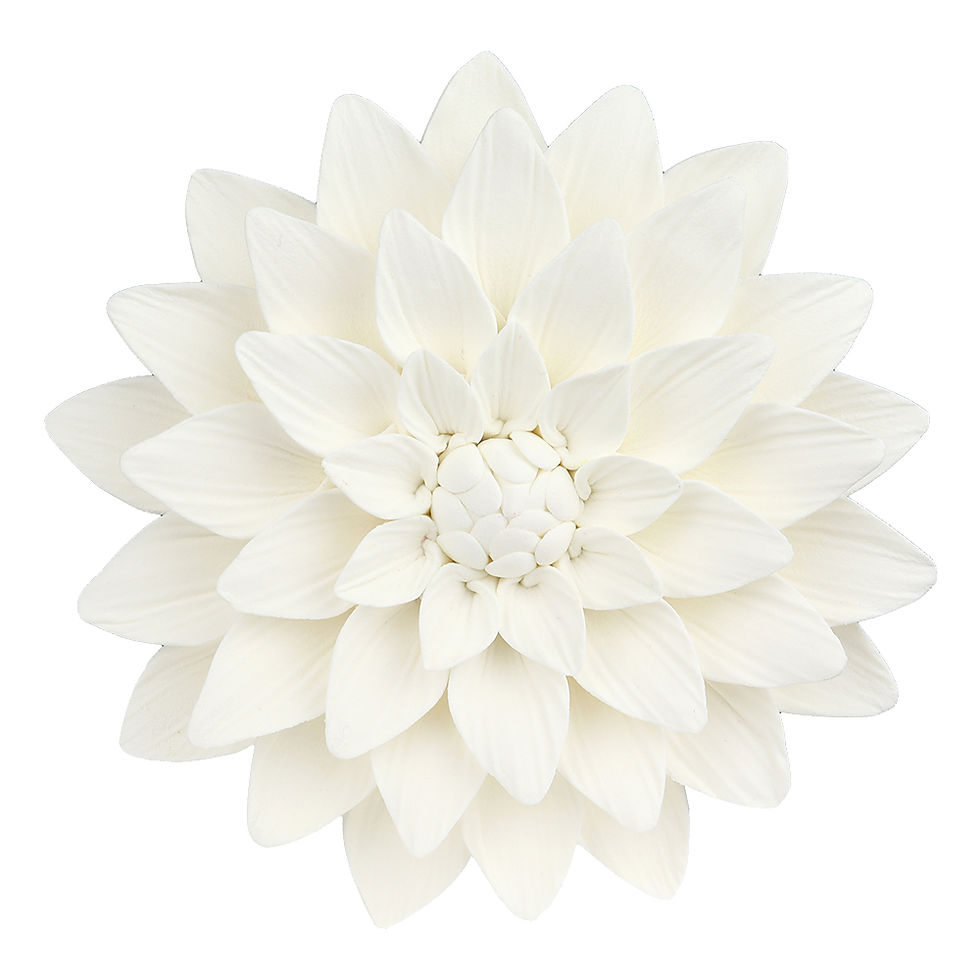 O'Creme White Dahlia Gumpaste Flowers - Set of 3