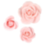 Thumbnail: Soft Pink Garden Roses Gumpaste Flowers - Set of 6
