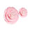 Thumbnail: O'Creme Pink Briar Rose Gumpaste Flowers - Set of 6