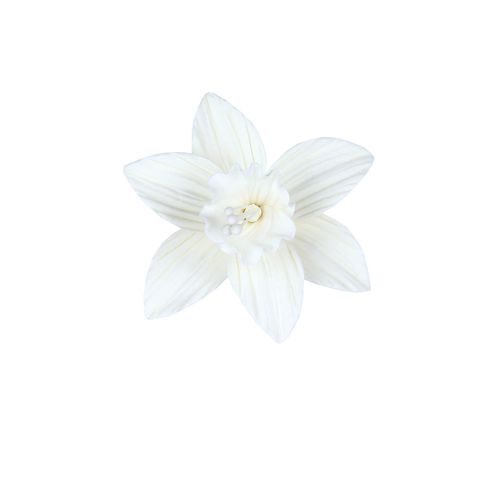 White Daffodil Gumpaste Flowers - Set of 6