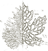 logo_edited_edited.png