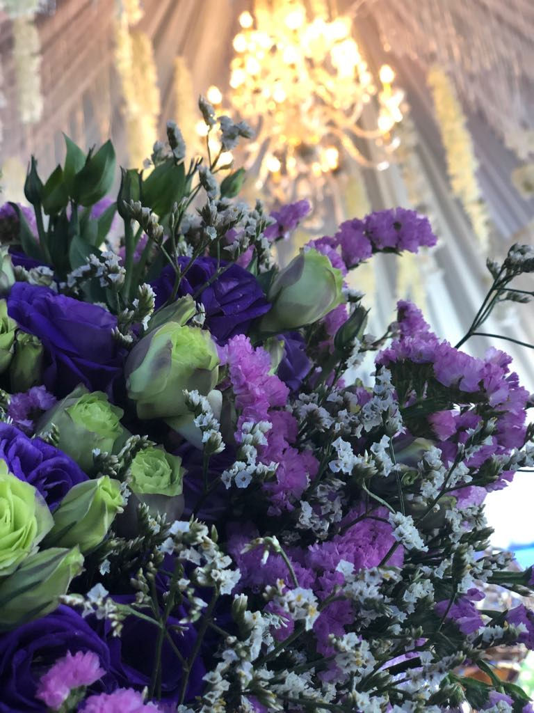 Thumbnail: BLOOM BOUQUET