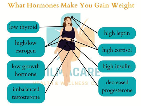 The Connection Between Hormones and Weight Gain During Menopause