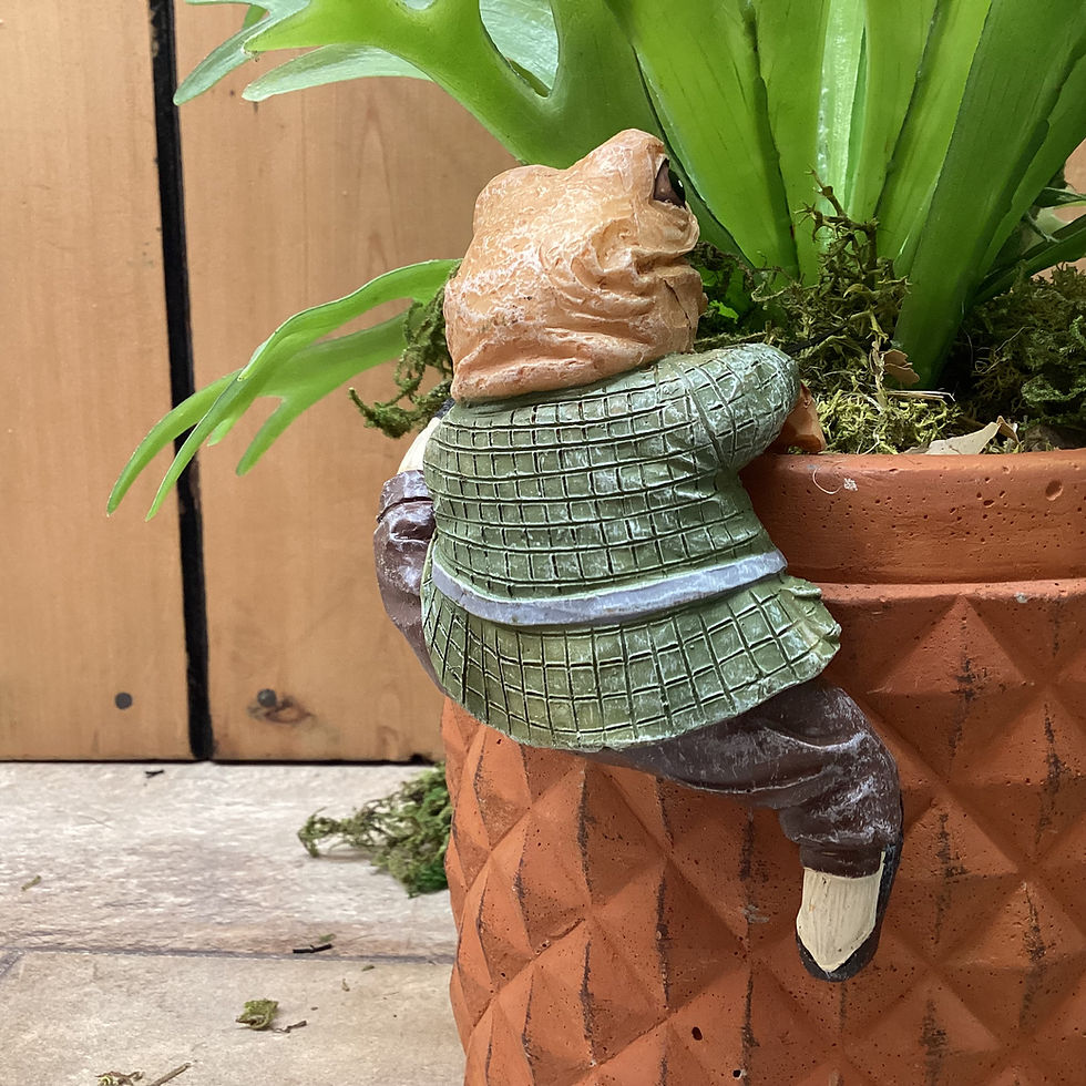Thumbnail: Hand Painted Pot Hanger:  Mr Toad In Suit