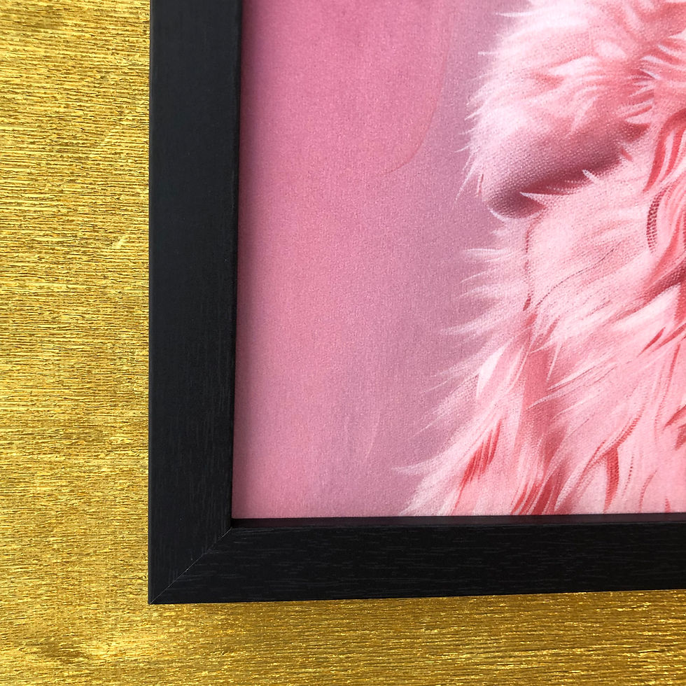 Thumbnail: Framed Velvet Costume Animal Wall Art: Glam Chihuahua Portrait