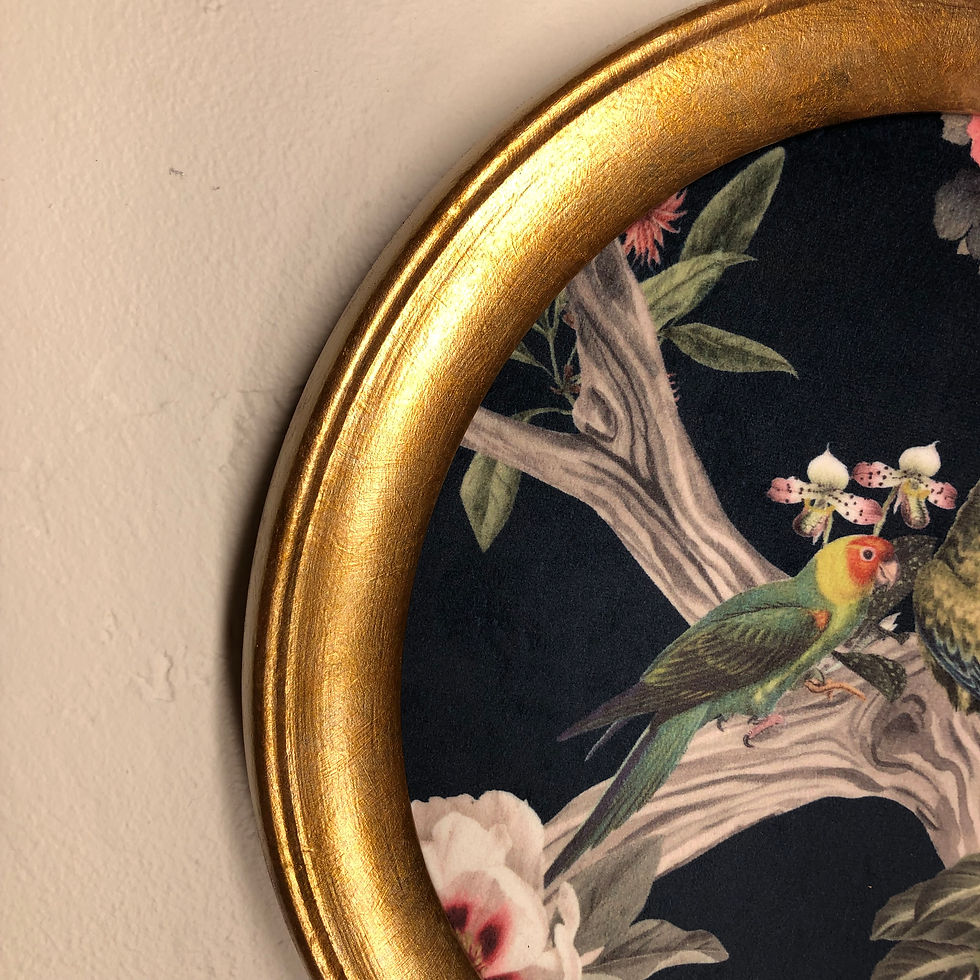 Thumbnail: Round Framed Velvet Print: Exotic Birds
