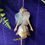 Thumbnail: Pixie Rose: Blue Smoke