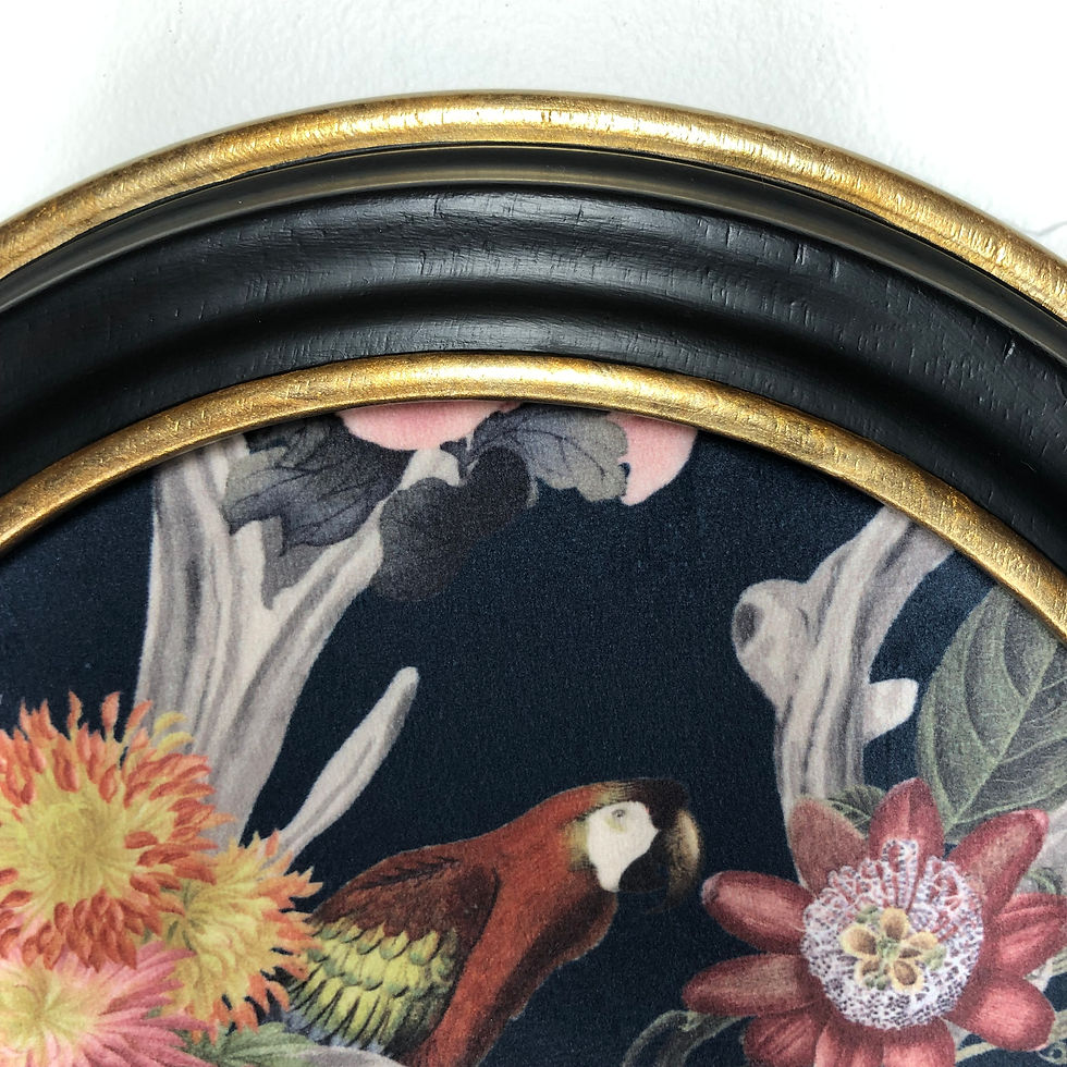 Thumbnail: Round Framed Velvet Print: Exotic Parrot