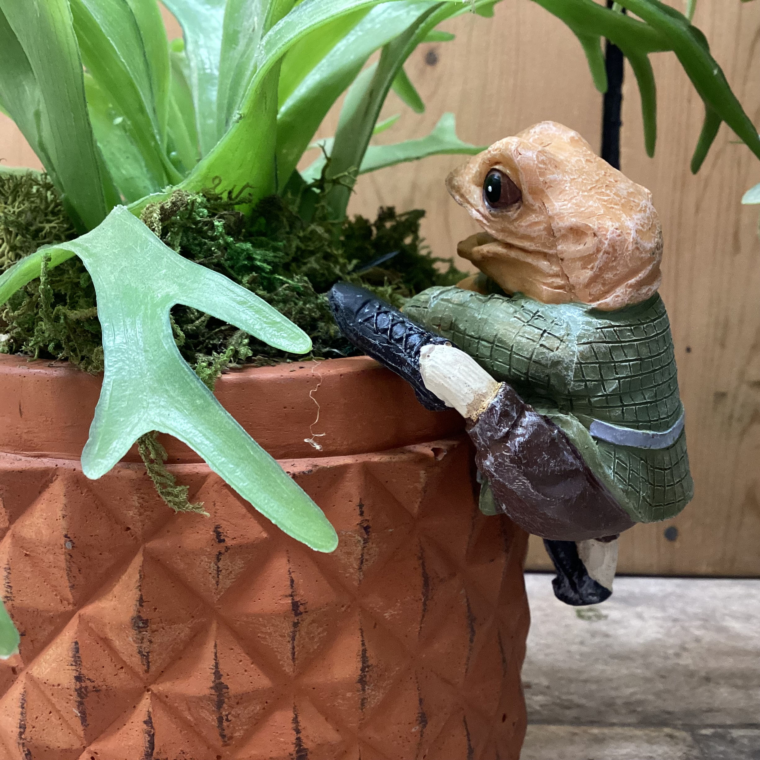 Hand Painted Pot Hanger:  Mr Toad In Suit