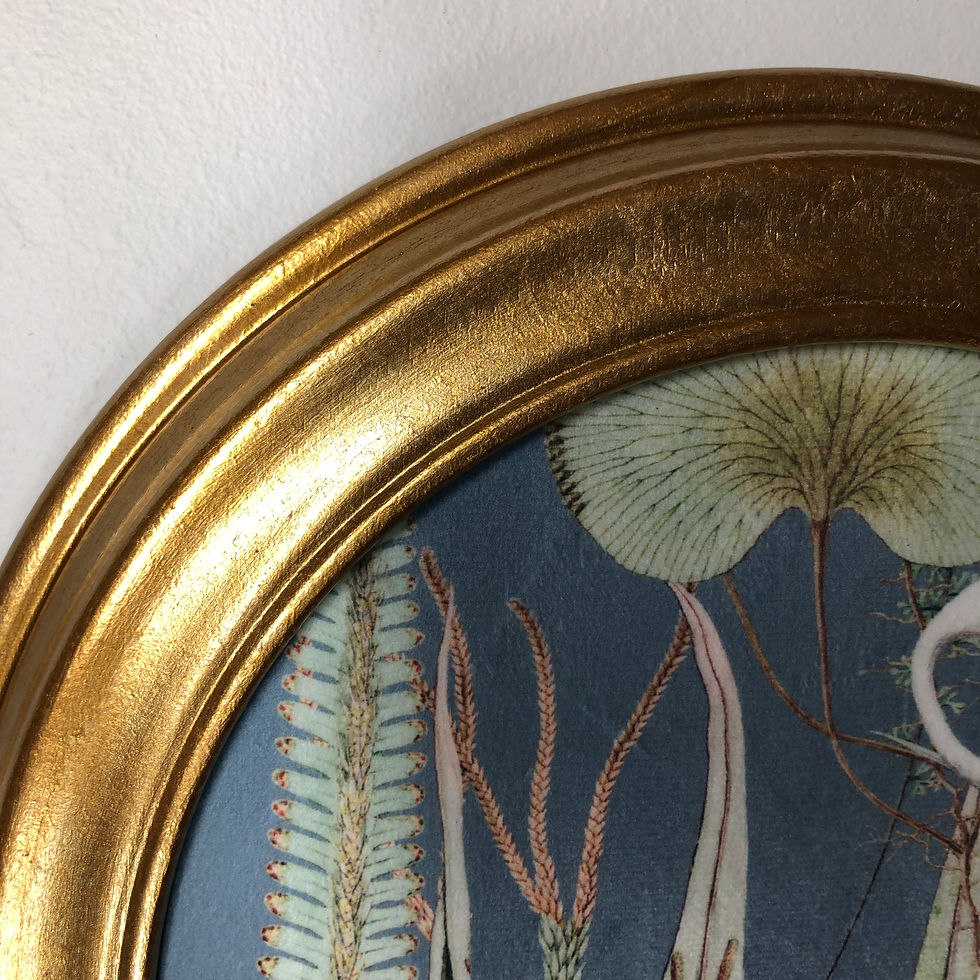 Thumbnail: Round Framed Velvet Print: Flamingo