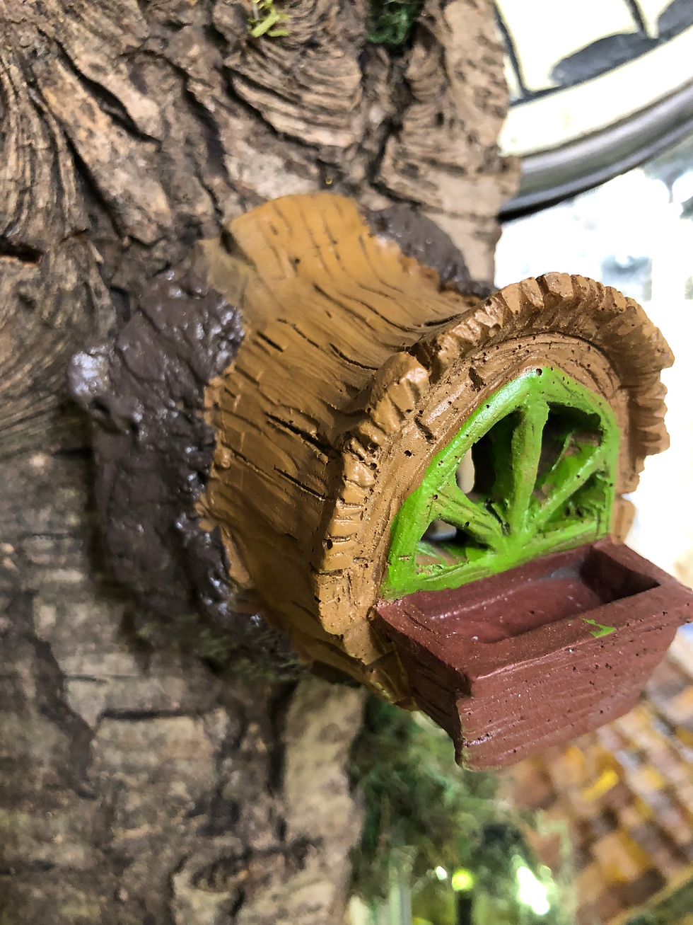 Thumbnail: Fairy Landing Pad & Window Set