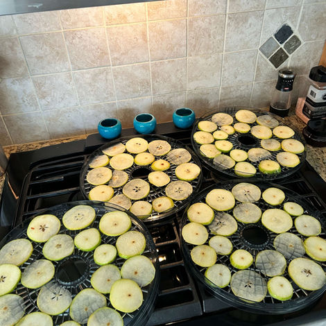 sliced pears laid on dehydrating racks for simmer pots