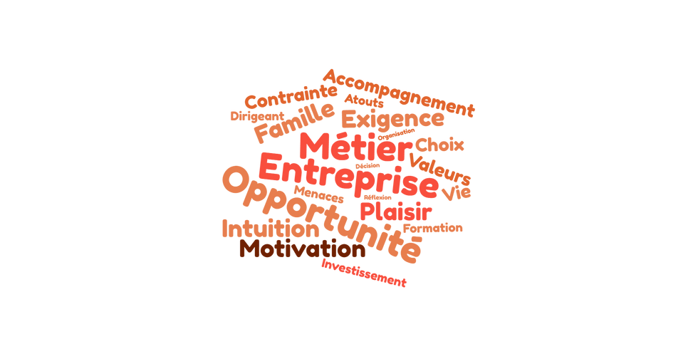 Nuage de questions potentielles pour le repreneur