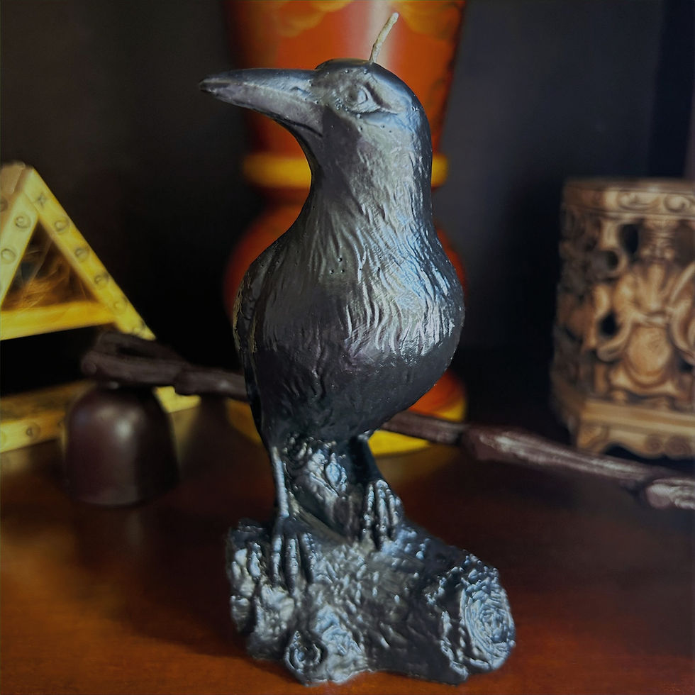 Thumbnail: A beautifully sculpted black beeswax crow or raven sits perched upon a black wax tree branch on a wooden shelf with other  ca