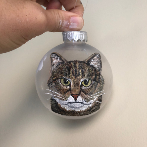 cat mean.jpeg