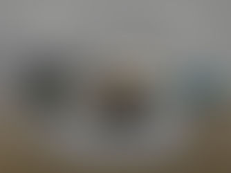 The Significance of Architectural Visualization and BIM in Westhaven's Projects