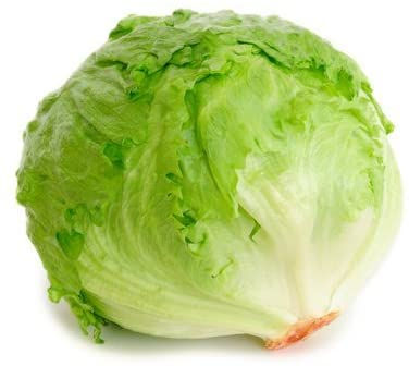 Lechuga Iceberg