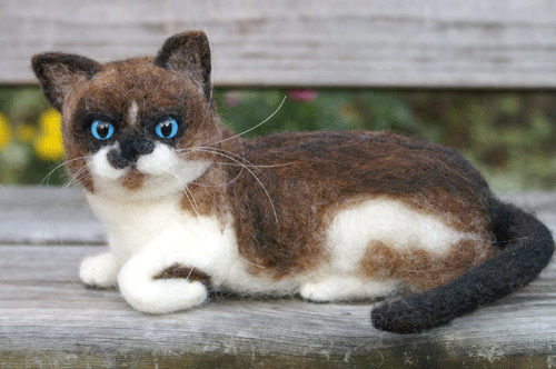 縮圖：Round Silver Blue Eyes銀籃色圓眼睛