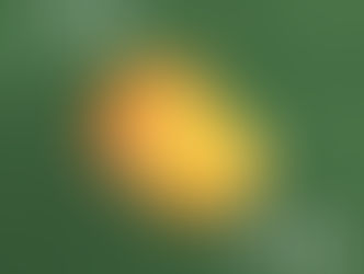 七月份銷售日程、地點、時間