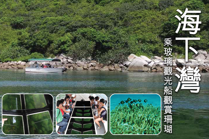 海下灣觀賞珊瑚群
