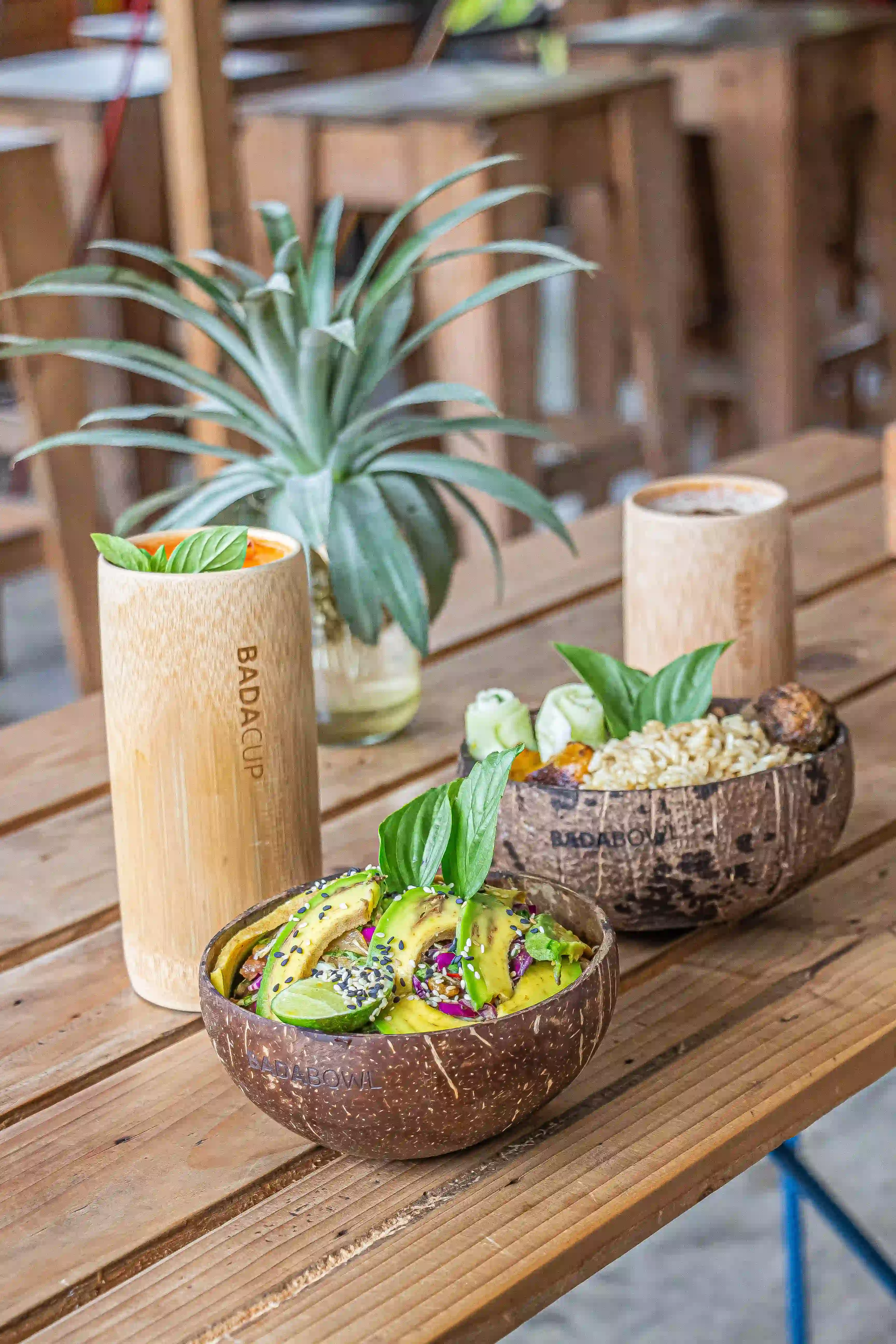 Badabowl - Bol en coco1.webp