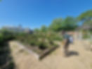 20250430_133927.jpg