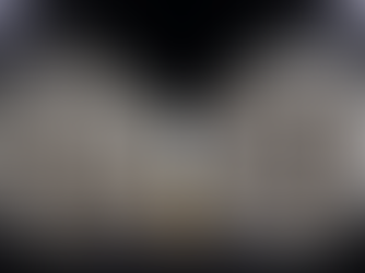 Stratoniceia Antik Kenti Sikkeleri