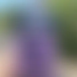 Zebercet'in İzinde Manisa