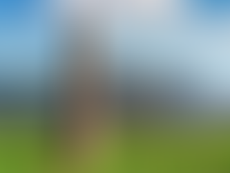 Manisa'da pamuk fabrikasından kalan baca