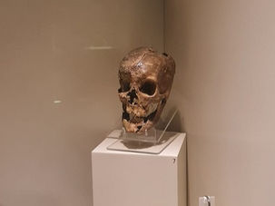 Mitik Frig kralı Midas'ın kafatası