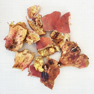 Çünkü Vitamini Kabuğunda