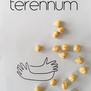 Bir Terennüm hakkında