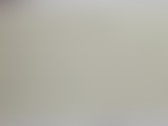 Yusuf Atılgan'dan Mesir Şenlikleri