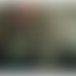 Yalınayak Müzikhol /Tomris İncer'e Sevgi Duruşu