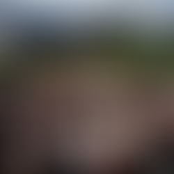 Evliya Çelebi’nin İzinde; Manisa