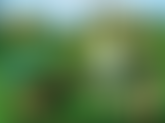 70 yıl öncesinin erkek çocukları ne oyunlar oynardı