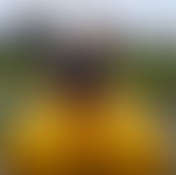 Almıyorum, almıyorum