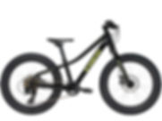 Bicicleta Infantil Trek Roscoe 20 2019