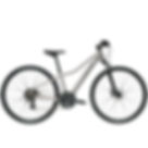 Bicicleta Feminina Trek Dual Sport 1 2019
