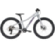 Bicicleta Infantil Trek Roscoe 24 2020