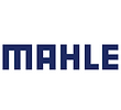 Mahle_Filter.png
