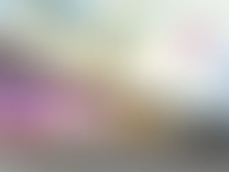 Webinar acerca de la implicación en las Agencias Automotrices de la reforma a la Ley Antilavado