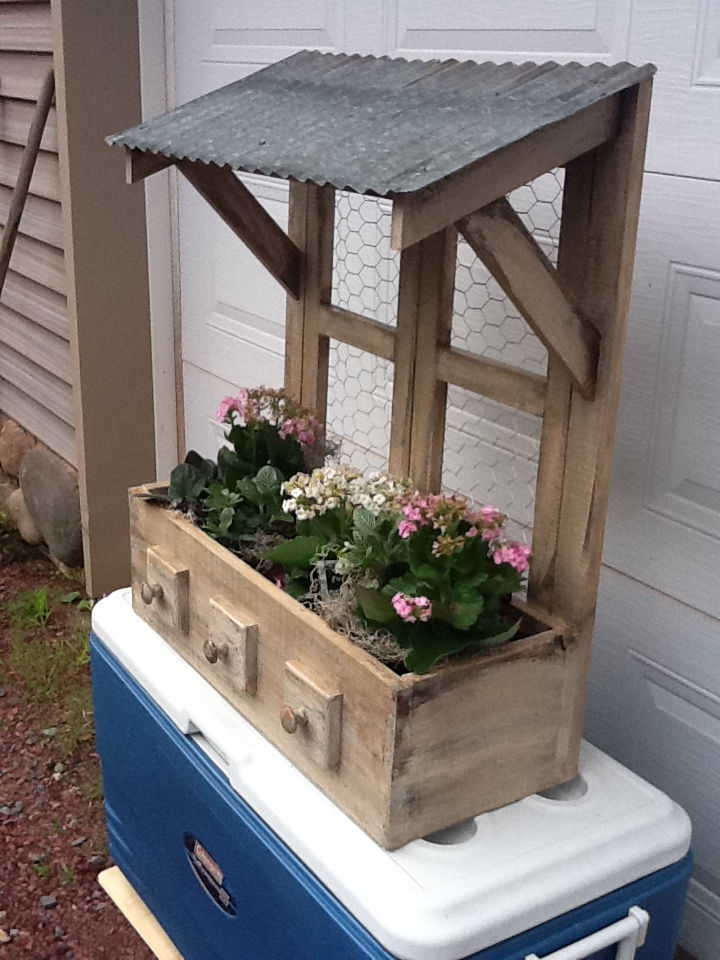 Herb Garden2