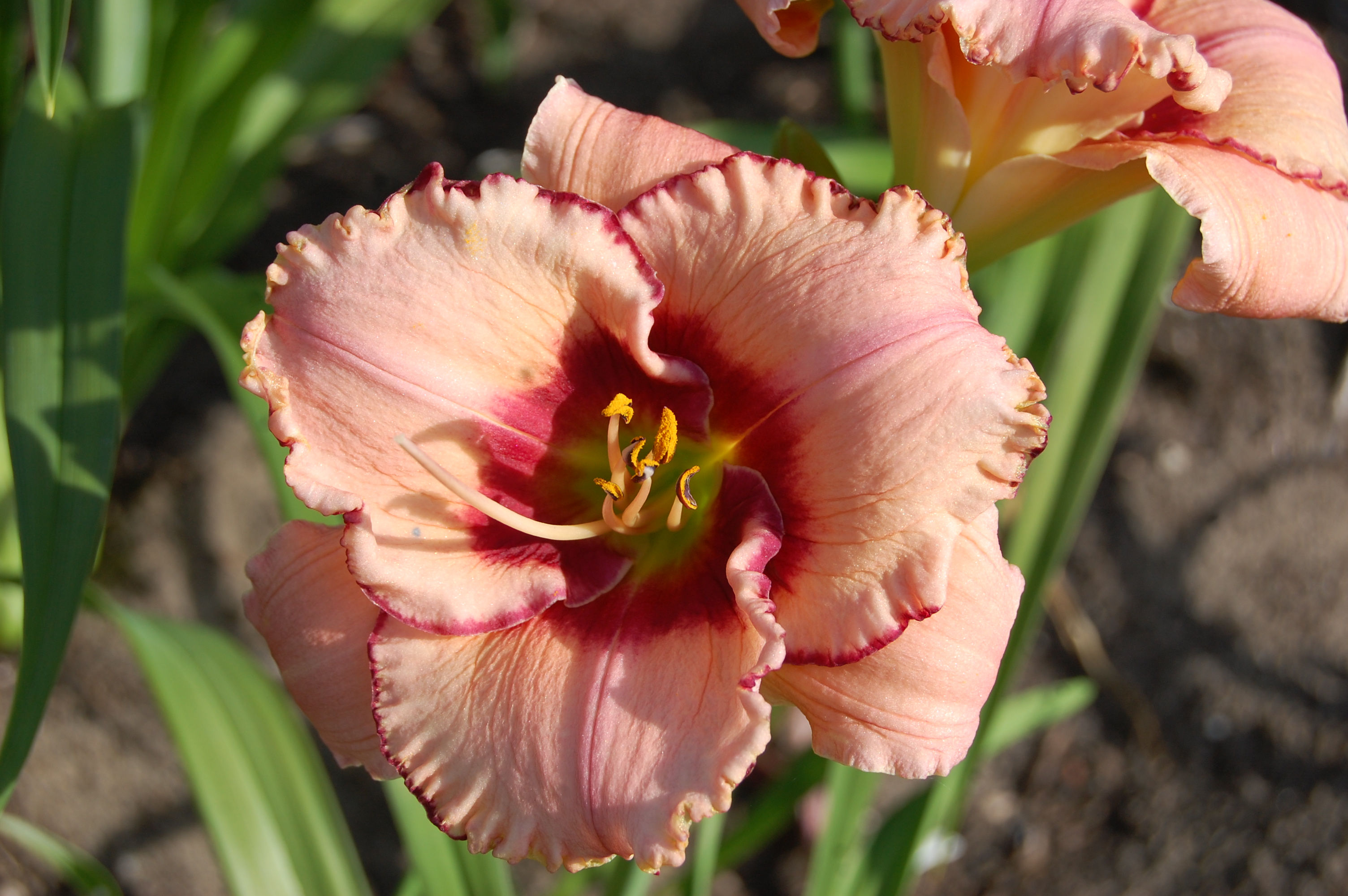 Heartbreaking decision